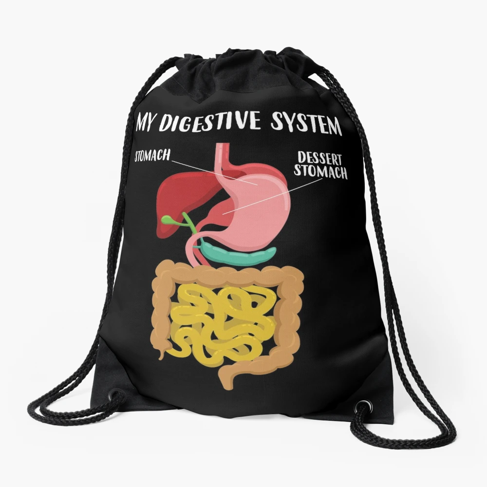 Funny Dessert Stomach Gastroenterologist Digestive System graphic