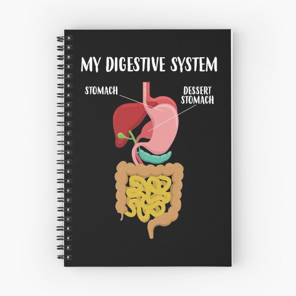 Item preview, Funny Dessert Stomach Gastroenterologist Digestive System graphic designed and sold by jakehughes2015.