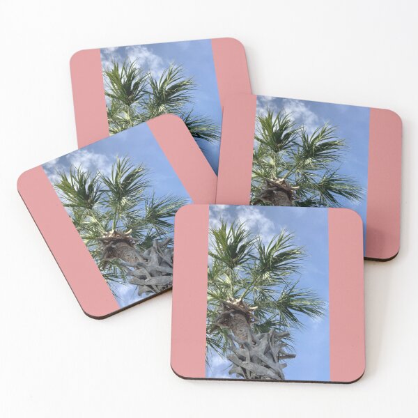 Item preview, Florida designed and sold by Kaydileigh.