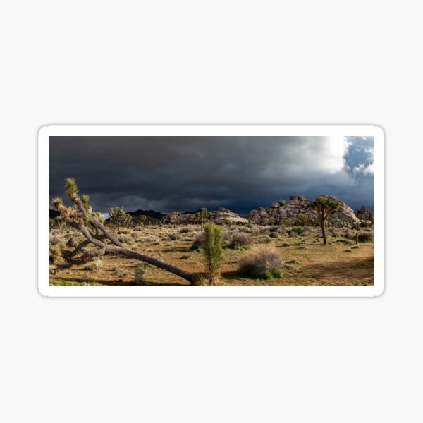 Item preview, Joshua Tree Panorama designed and sold by PicsULove.