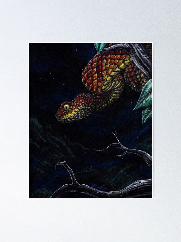 Spiny Bush Viper Poster for Sale by Influnecedby