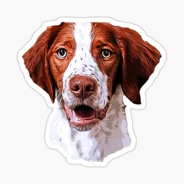 MAN CAN BE A FATHER SOMEONE SPECIAL TO BE A SPRINGER SPANIEL DADDY Fridge Magnet