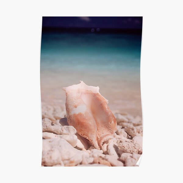 Can you hear the ocean? Poster