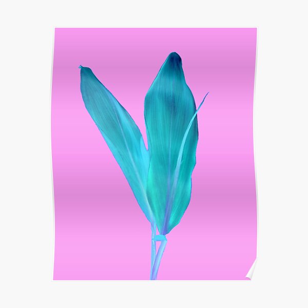 Uber Poster