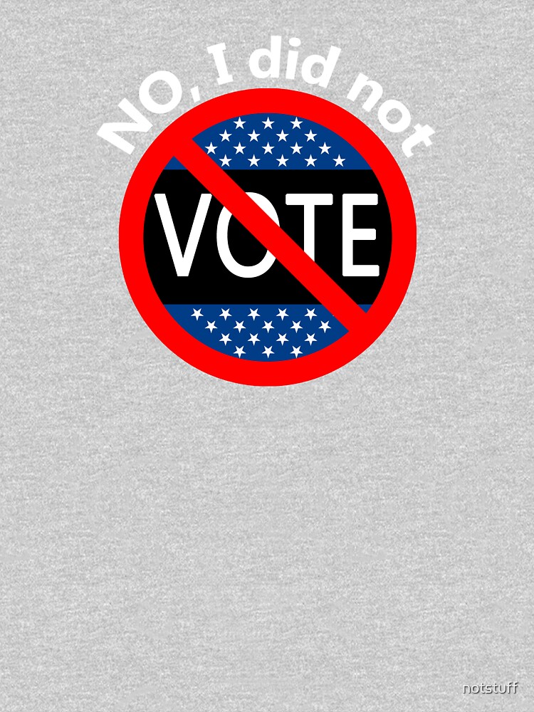 No, I Did Not Vote by notstuff