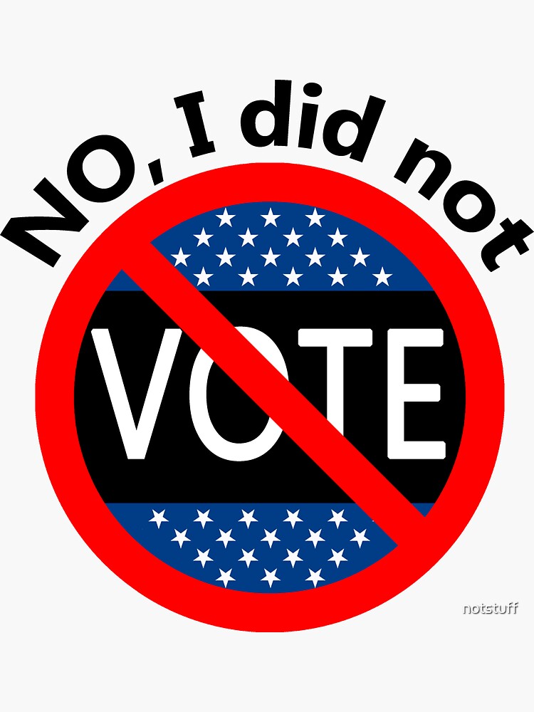 No, I Did Not Vote by notstuff
