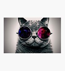 edle Katze Fotodruck