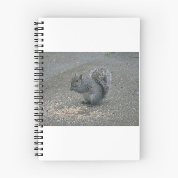 Item preview, Nutty! designed and sold by Christine  Bialczak.