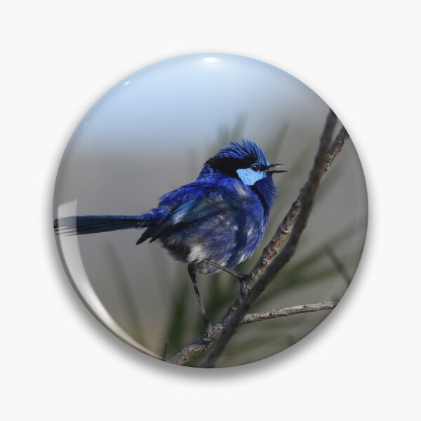 Item preview, Blue Wren Chatting designed and sold by Rainbow Farm Photography.