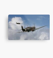 Antipodean Avengers Metal Print