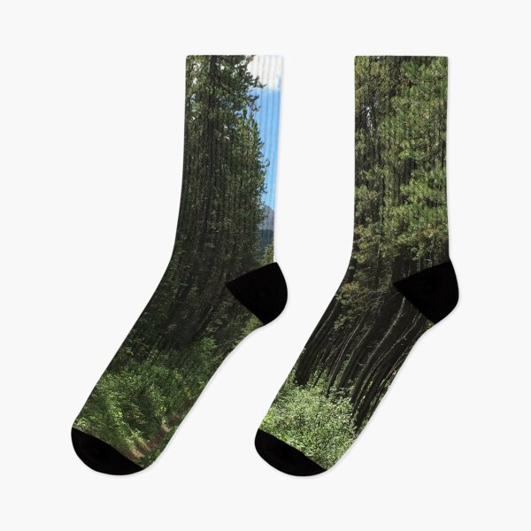 Item preview, Tranquil walk through the forest designed and sold by BlueFoxCreative.