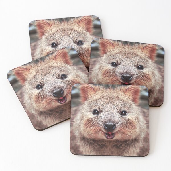 Item preview, Quokka's Face Closeup Australia Funny Brown Cute Animal designed and sold by Dolphin Graphic.
