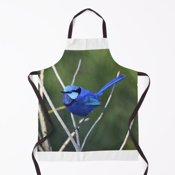 Item preview, Blue Wren in Spring designed and sold by Rainbow Farm Photography.