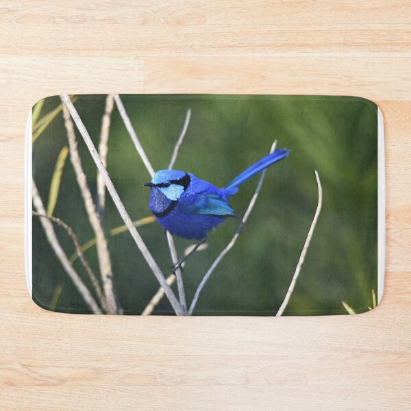 Item preview, Blue Wren in Spring designed and sold by Rainbow Farm Photography.