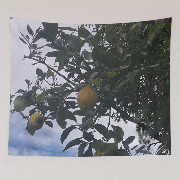 Item preview, Lemon tree designed and sold by The Poette.