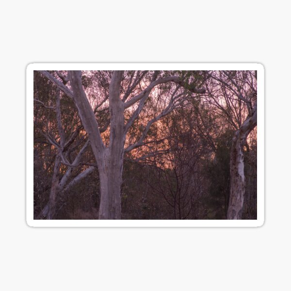 koortaboodjar Sticker
