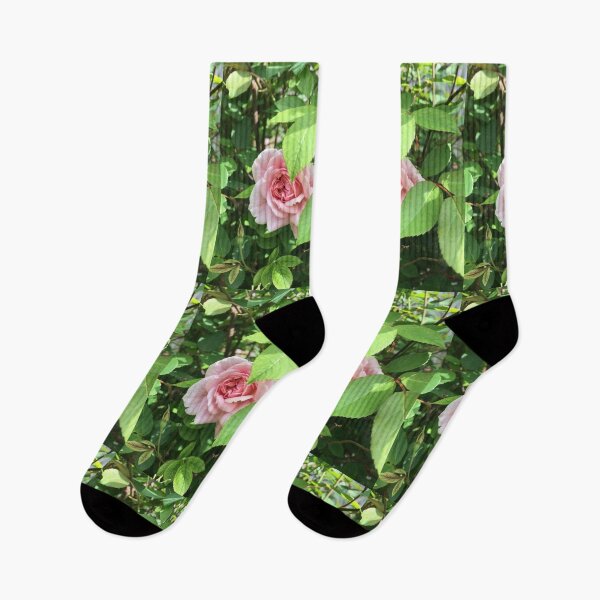 Item preview, Rose 1 designed and sold by The Poette.