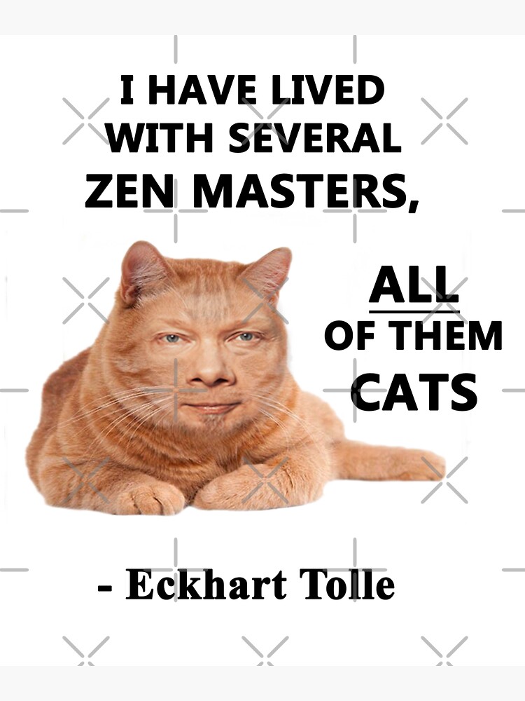 "Eckhart Tolle Zen Master Cat quote “I have lived with several zen