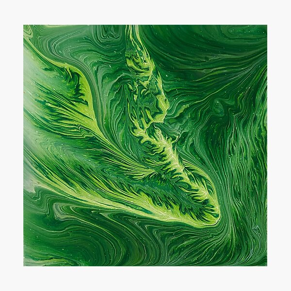 "Songbird" Acrylic Pour Photographic Print