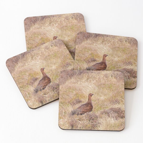 Item preview, Red Grouse designed and sold by Malcolm Snook.
