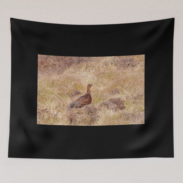 Item preview, Red Grouse designed and sold by Malcolm Snook.
