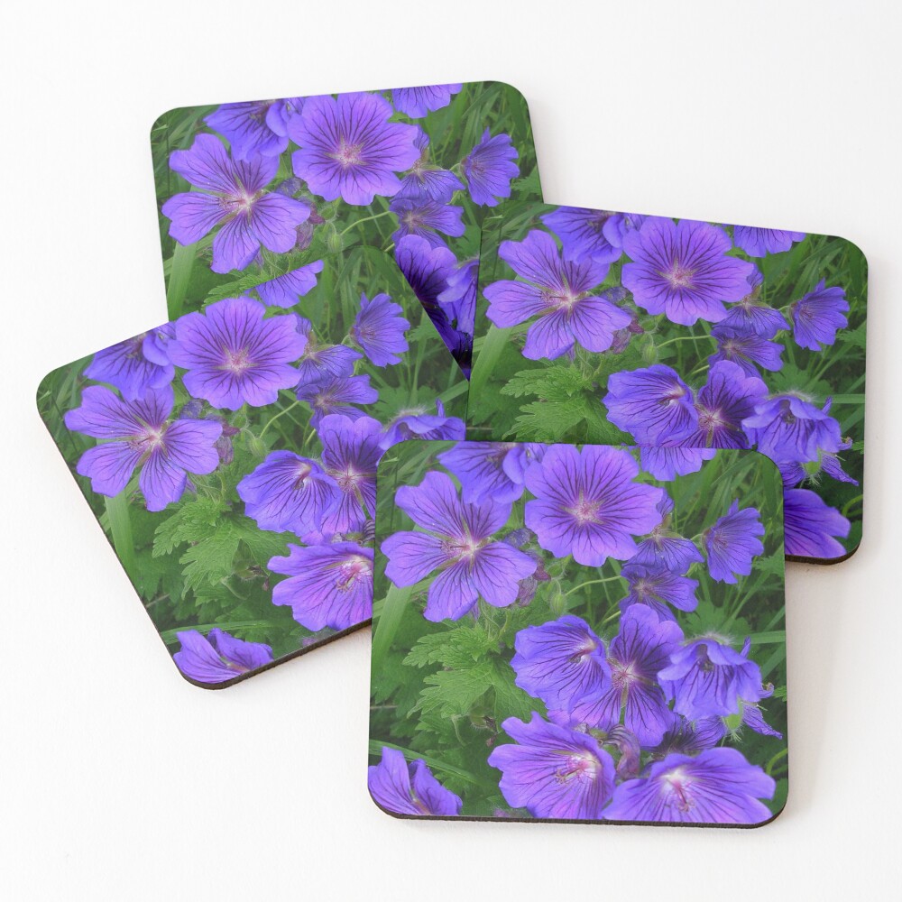 Item preview, Coasters (Set of 4) designed and sold by lezvee.