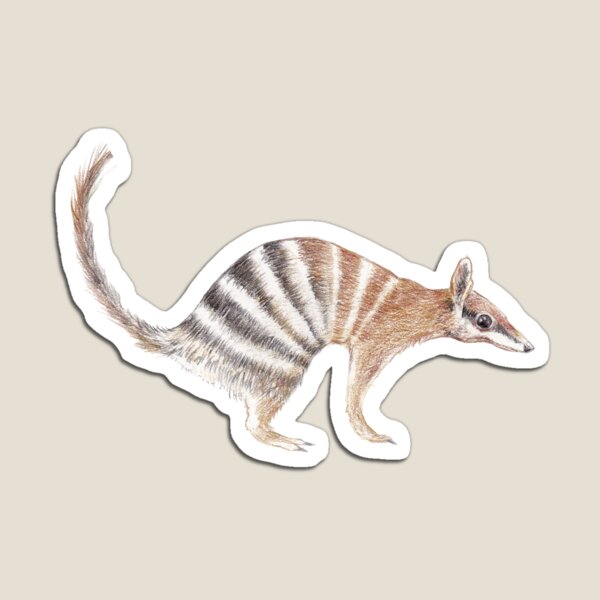Item preview, Numbat - coloured pencil illustration made into a ditsy style pattern  designed and sold by Alison Baker Rasmussen.
