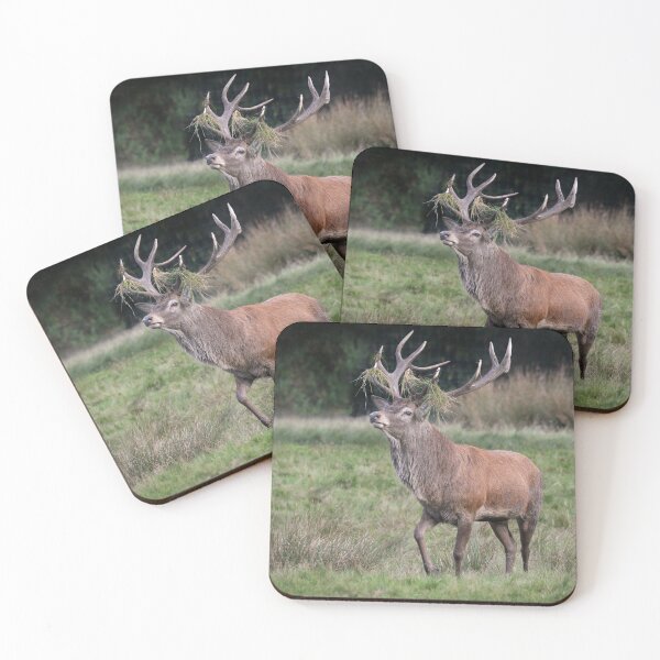 Item preview, stag rutting designed and sold by alan tunnicliffe.