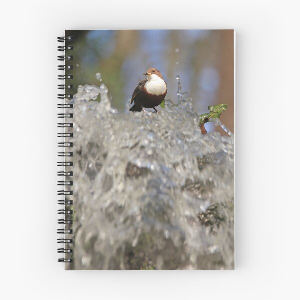 Item preview, Dipper designed and sold by sandysshoots.