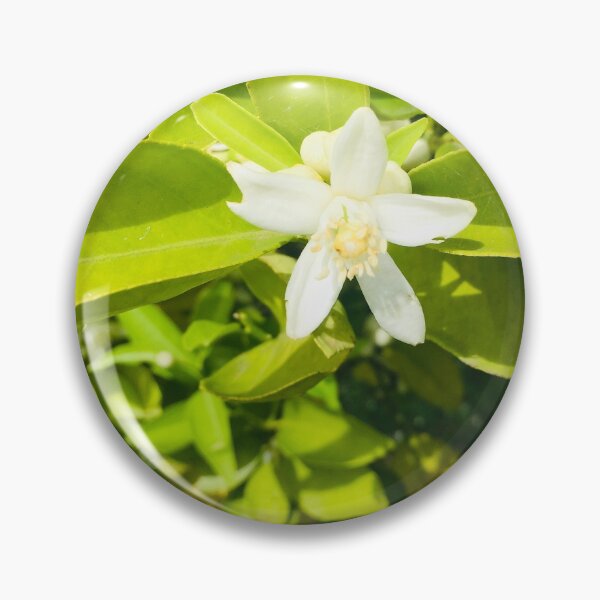 Item preview, orange blossom designed and sold by The Poette.