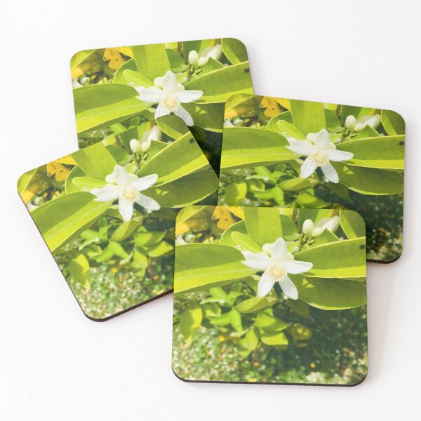 Item preview, orange blossom designed and sold by The Poette.