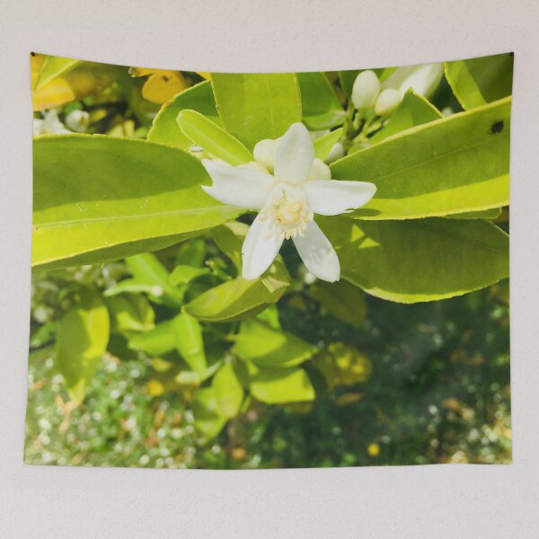 Item preview, orange blossom designed and sold by The Poette.