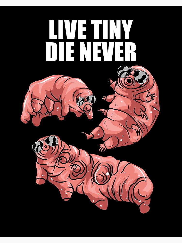 Live Tiny Die Never - Funny Tardigrade Water Bear Gift" Art Board Print for Sale by HeartARTIST | Redbubble