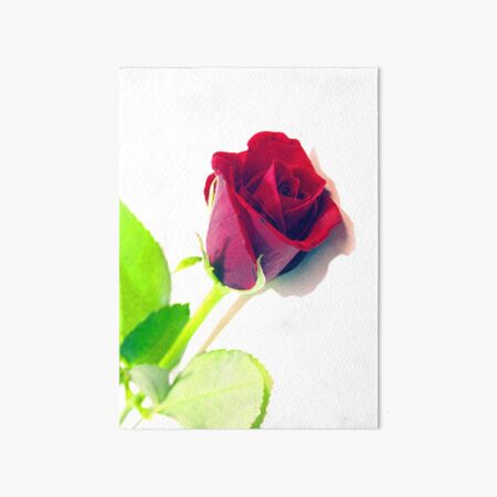 Item preview, Rose Flower designed and sold by Zero-Infinite.