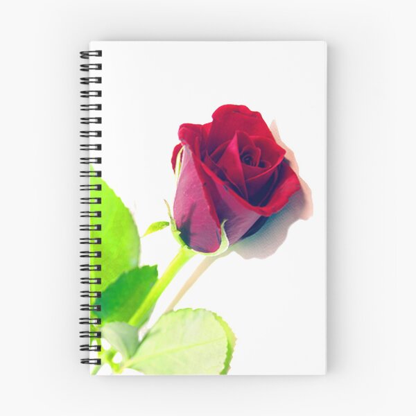 Item preview, Rose Flower designed and sold by Zero-Infinite.