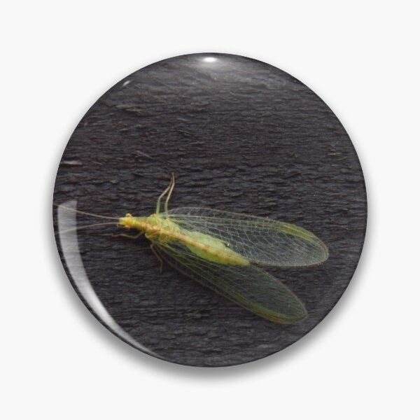 Item preview, Lacewing designed and sold by wiggyofipswich.