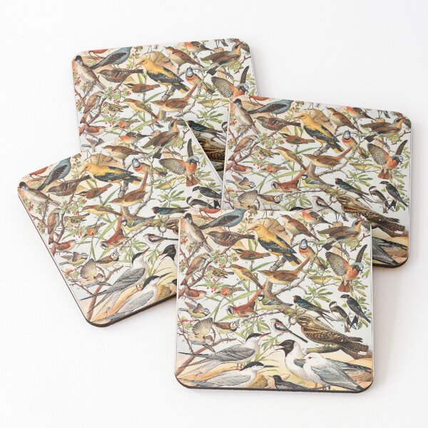 Item preview, Adolphe Millot - Oiseaux espèces utiles 01 - French vintage ornithology poster designed and sold by DejaVuStudio.