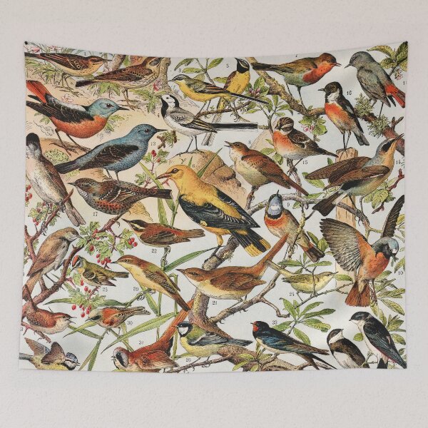 Item preview, Adolphe Millot - Oiseaux espèces utiles 01 - French vintage ornithology poster designed and sold by DejaVuStudio.