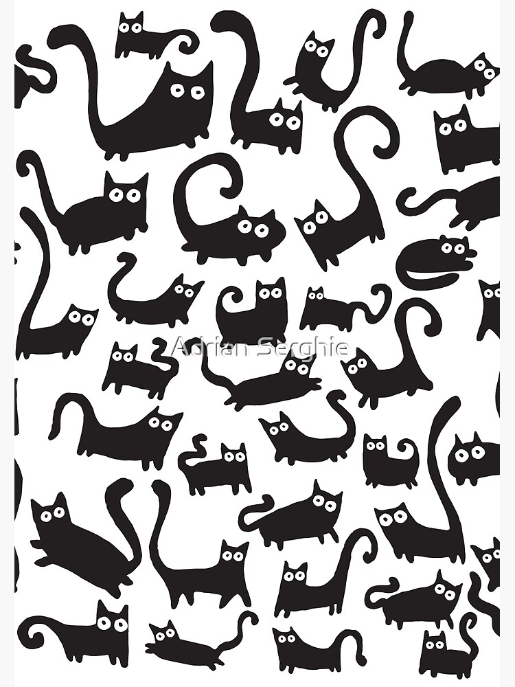 Black cats by adrianserghie