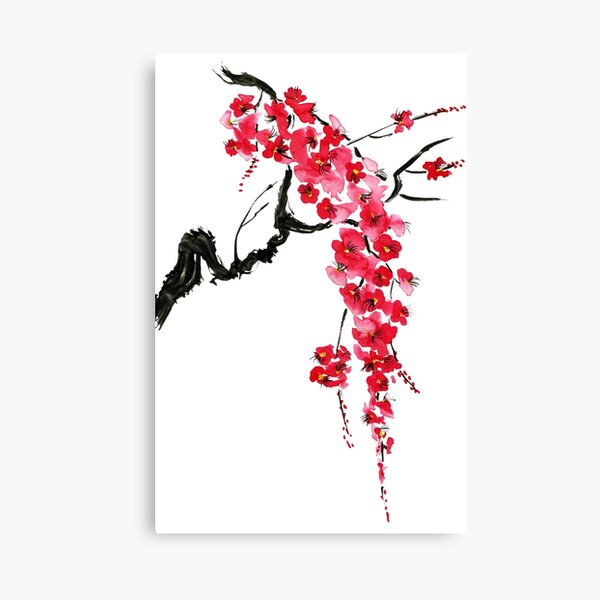 Pink flowers of sakura Canvas Print