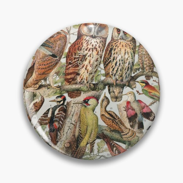 Item preview, Adolphe Millot - Oiseaux espèces utiles 02 - French vintage ornithology poster designed and sold by DejaVuStudio.