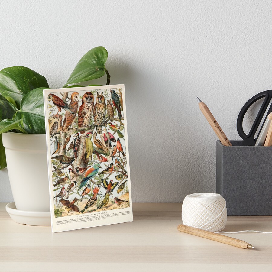 Item preview, Art Board Print designed and sold by DejaVuStudio.