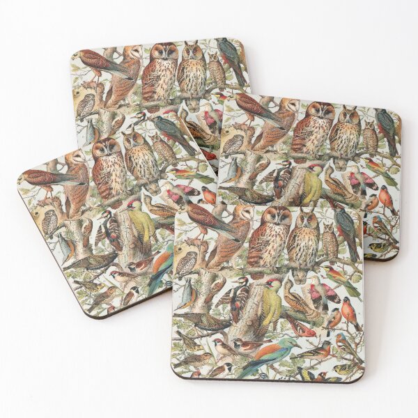 Item preview, Adolphe Millot - Oiseaux espèces utiles 02 - French vintage ornithology poster designed and sold by DejaVuStudio.