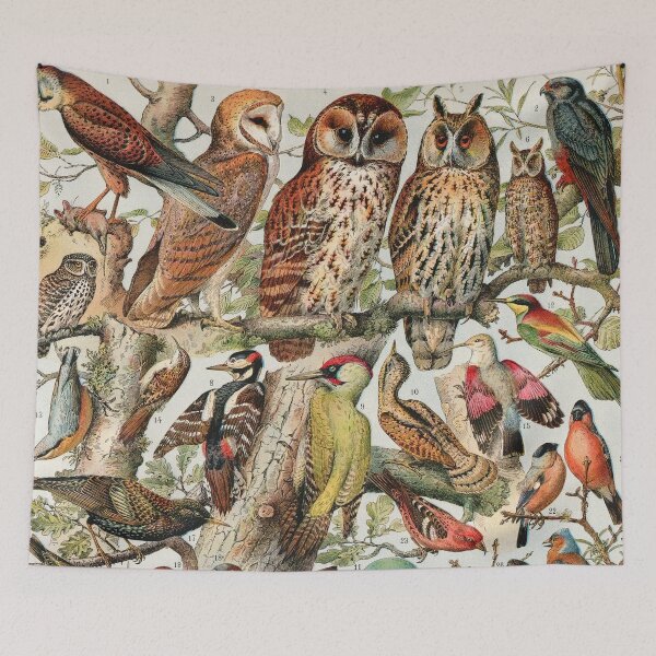 Item preview, Adolphe Millot - Oiseaux espèces utiles 02 - French vintage ornithology poster designed and sold by DejaVuStudio.