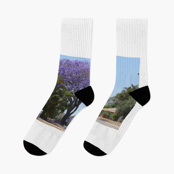 Item preview, Jacaranda Tree designed and sold by PhotosByG.