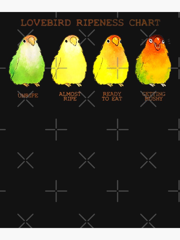 "Lovebird Ripeness Chart " Poster for Sale by ManusBrice Redbubble