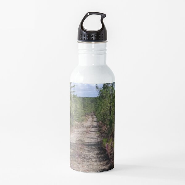 Walking on a Silent Mountain Water Bottle