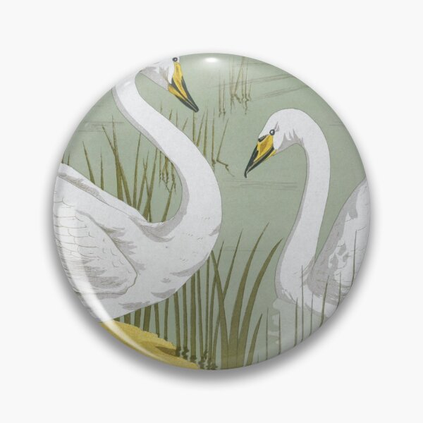 Item preview, Cygne sauvage from L'animal dans la décoration (1897) illustrated by Maurice Pillard Verneuil. designed and sold by amrmab.