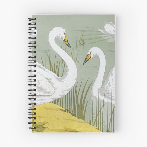 Item preview, Cygne sauvage from L'animal dans la décoration (1897) illustrated by Maurice Pillard Verneuil. designed and sold by amrmab.