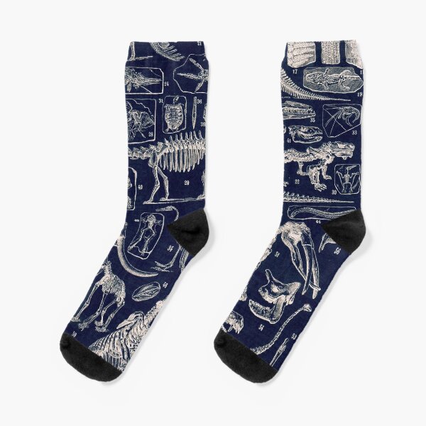 Adolphe Millot - Paleontologie (paleontology)- vintage french poster Socks